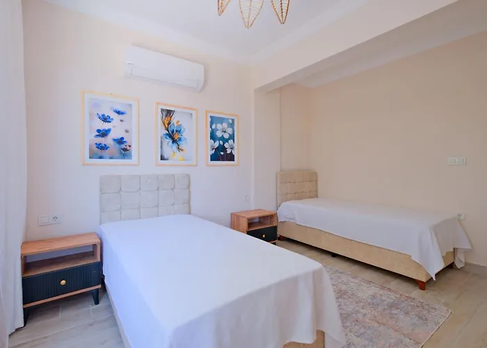 Belis Φετιγιέ