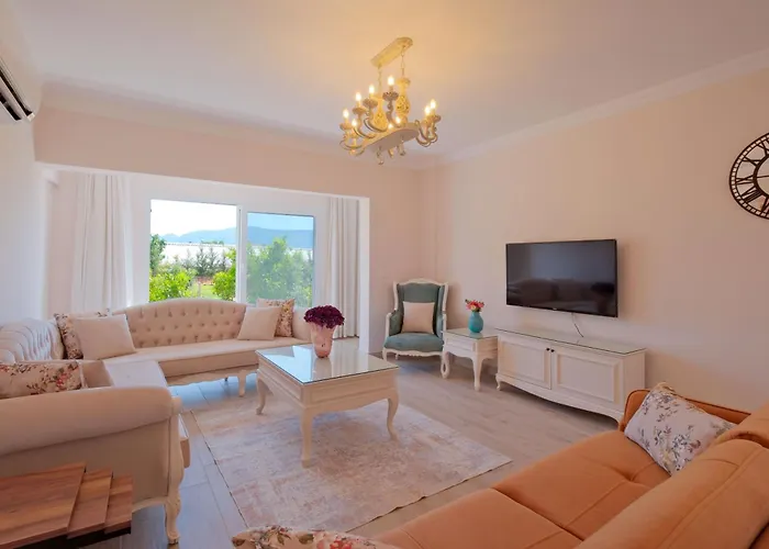 Belis Φετιγιέ